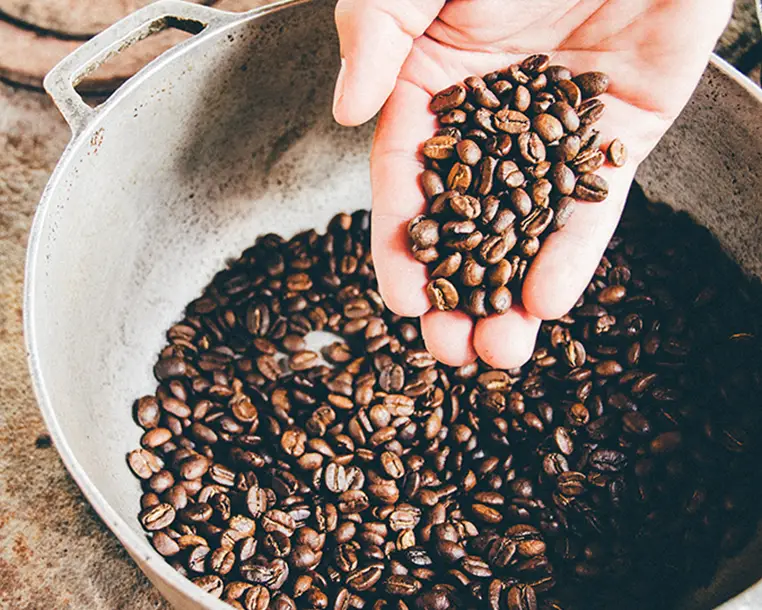 Giobean Coffee A taste of Italy in every cup.